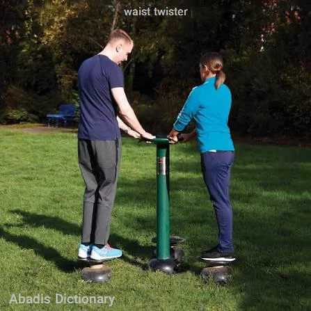 waist twister
